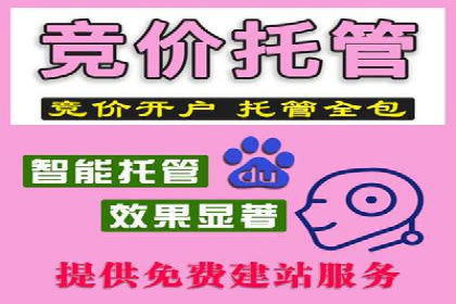 案例分享：SEM托管助力品牌推广